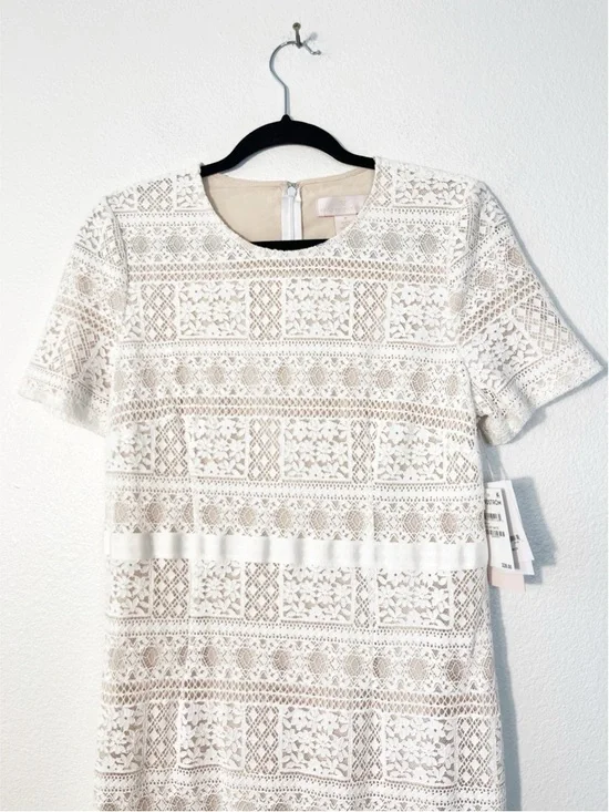 NWT Rachel Parcell Striped Lace Fitted Midi Dress in Lucent White Size Medium - Picture 4 of 7